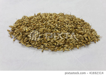 Oriental medicine Oriental medicine 41692314