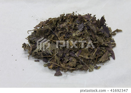 Oriental medicine Oriental medicine 41692347