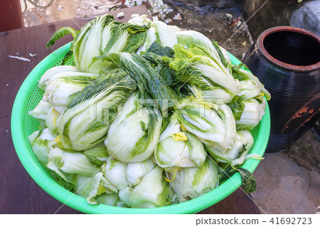 韓國食品,韓國食品,靜物,食品,泡菜 韓國食品,韓國食品,靜物,食品,泡菜 41692723