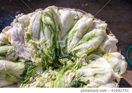 韓國食品，韓國食品，靜物，食品，泡菜 41692741
