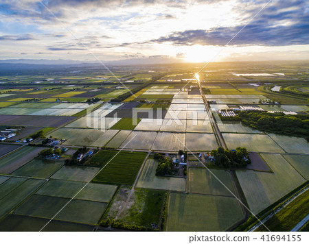 稻田在晚上(空中拍攝) 稻田在晚上(空中拍攝) 41694155