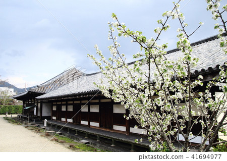 Gokuraku Budo Zen Room,Geneohwa Temple,Shinshu Rakudo,National Treasure Gokuraku Budo Zen Room,Geneohwa Temple,Shinshu Rakudo,National Treasure 41694977