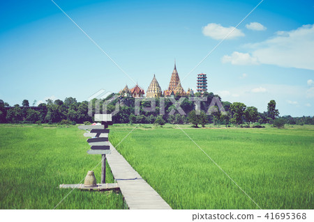 The image of a farm with a wooden walkway. The image of a farm with a wooden walkway. 41695368