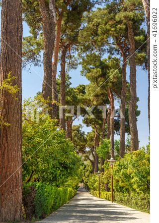 Eram Garden in Shiraz. Iran Eram Garden in Shiraz. Iran 41696022