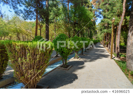 Eram Garden in Shiraz. Iran Eram Garden in Shiraz. Iran 41696025
