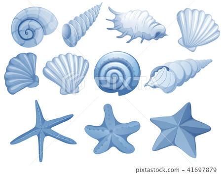 A Set of Blue Seashell 41697879