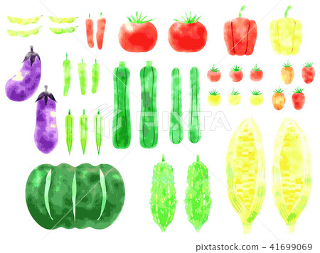 Illustration of summer vegetables Illustration of summer vegetables 41699069