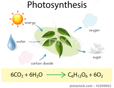 A Science Education of Photosynthesis 41699602