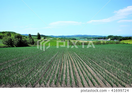 Farming landscape background material 41699724