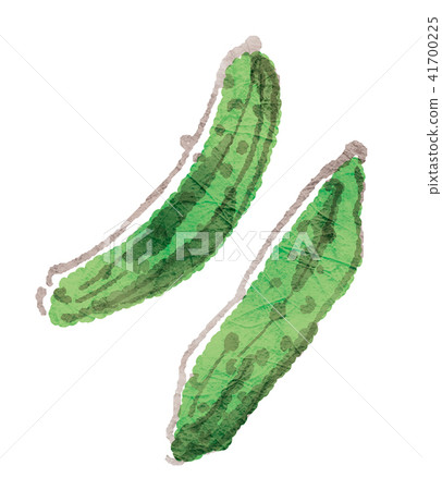 Pickled vegetables series: Cucumber Pickled vegetables series: Cucumber 41700225