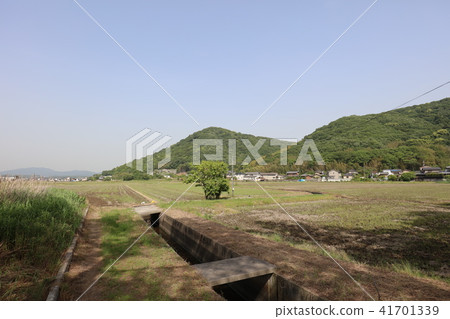 a japan country side at Kibitsuhiko, Okayama 41701339