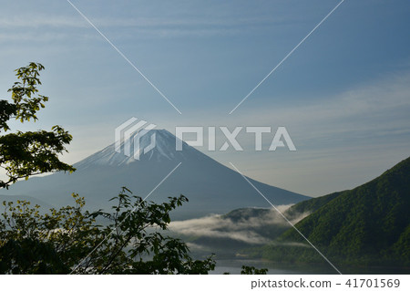 富士高子 富士高子 41701569