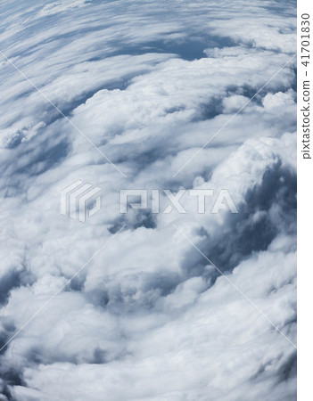 Canopy Canopy 41701830