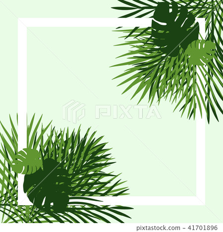 Green tropical garden picture frame Green tropical garden picture frame 41701896