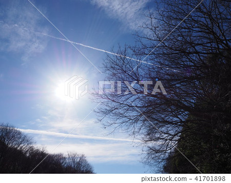 太陽 太陽 41701898