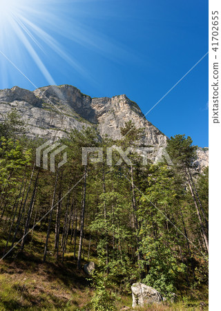 Forest and Mountains Sarca Valley Trentino Italy 41702655
