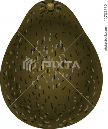 Avocado  41703880