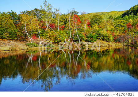Norikura Highlands Ichinose Garden“Maimame's Pond” 41704025
