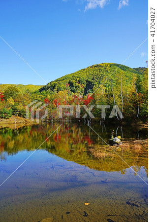 Norikura Highlands Ichinose Garden“Maimame's Pond” 41704027