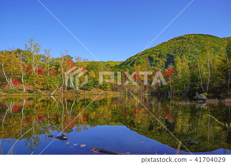 Norikura Highlands Ichinose Garden "Maimame's Pond" Norikura Highlands Ichinose Garden "Maimame's Pond" 41704029