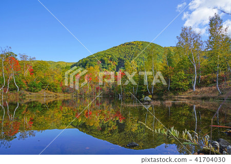 Norikura Highlands Ichinose Garden“Maimame's Pond” 41704030