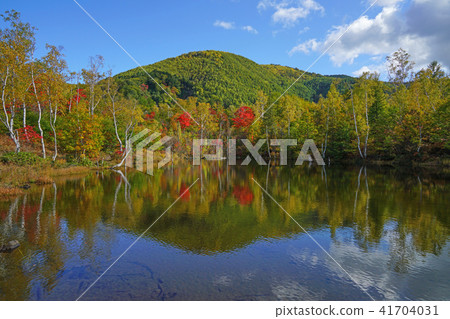Norikura Highlands Ichinose Garden“Maimame's Pond” 41704031