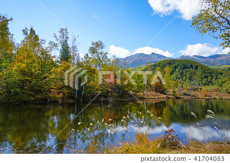 Norikura高地Ichinose花園“Maei no Ike”和Norikura-dake 41704083