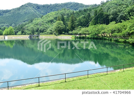 Tanba Sasayama的新鮮綠色 Tanba Sasayama的新鮮綠色 41704966