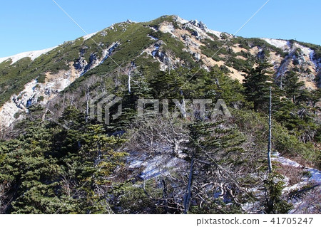 Yoshigayama Yoshigayama 41705247