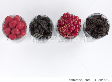 Raspberry, a big black blackberry and red currant  41705889