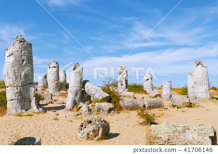 The Stone Desert 41706146