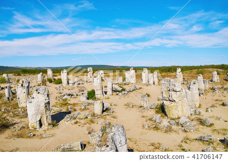 The Stone Desert 41706147