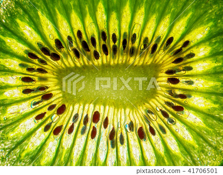 green kiwi background green kiwi background 41706501