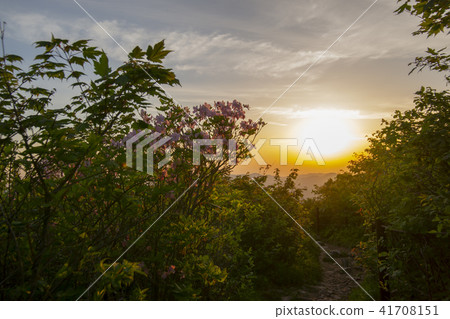 Taebaeksan，Taebaeksi，江原道 41708151