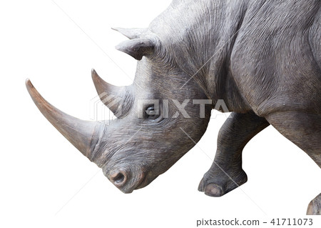 Rhinoceros on a white background Rhinoceros on a white background 41711073