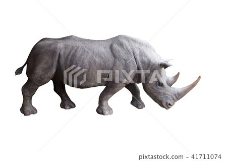 Rhinoceros on a white background 41711074