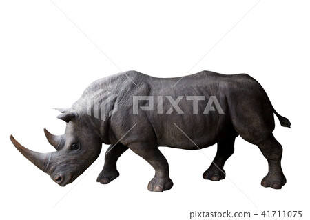 Rhinoceros on a white background Rhinoceros on a white background 41711075