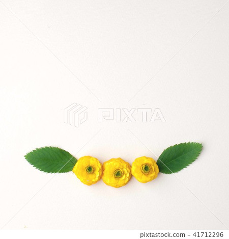 Border frame with yellow flower buds and green lea Border frame with yellow flower buds and green lea 41712296