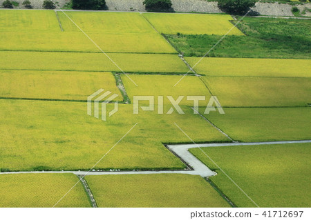 Rice, rice, rice Rice, rice, rice 41712697