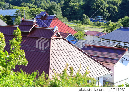 新鮮的綠色會津鐵路 41713981