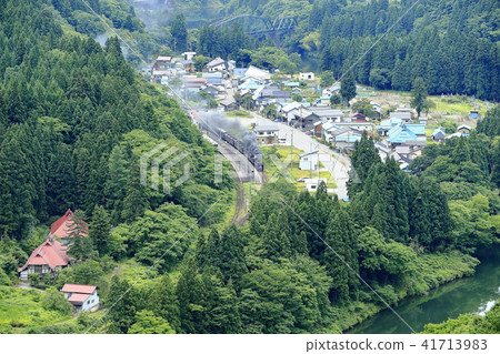 Ban oversea line SL of fresh green 41713983