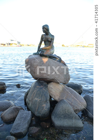 美人魚 41714305