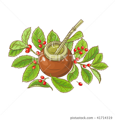 mate tea vector illustration 41714319