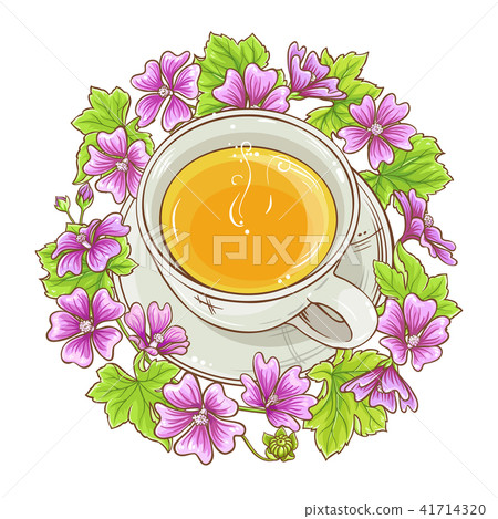 malva tea illustration 41714320