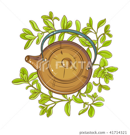 marjoram tea illustration 41714321