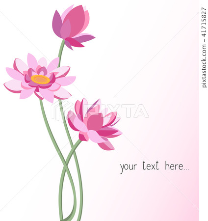 lotus flowers. Graphic modern illustration.  41715827