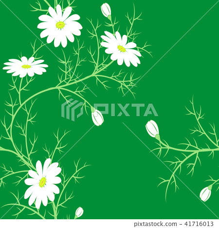 Stylish floral pattern.Seamless background Graphic 41716013