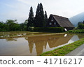 Rustic houses in the paddy fields appear above and below 41716217