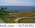 Ishikawa prefecture white rice one thousand sheets 41716302