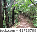 森林 41716799